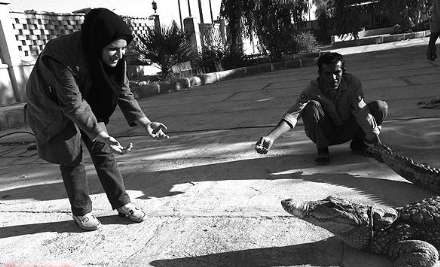 گزارش تصویری از حضور بانوان در فعالیت های محیط زیستی