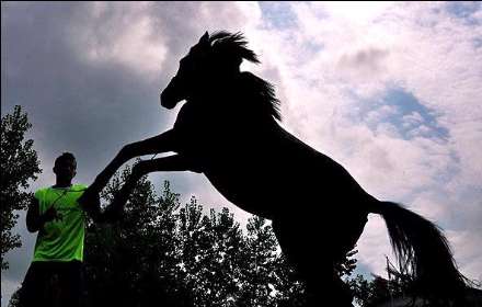 نهمین جشنواره ملی زیبایی اسب کاسپین