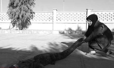 گزارش تصویری از حضور بانوان در فعالیت های محیط زیستی