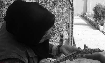 گزارش تصویری از حضور بانوان در فعالیت های محیط زیستی