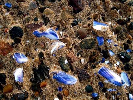 طرح های شگفت انگیز در ماسه های بیابان