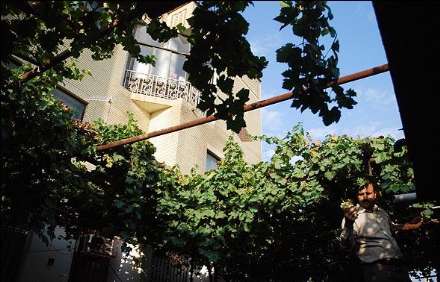خانه انگوری