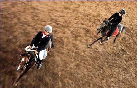 نهمین جشنواره ملی زیبایی اسب کاسپین