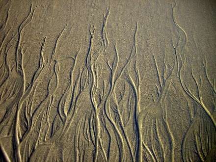 طرح های شگفت انگیز در ماسه های بیابان