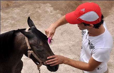 نهمین جشنواره ملی زیبایی اسب کاسپین