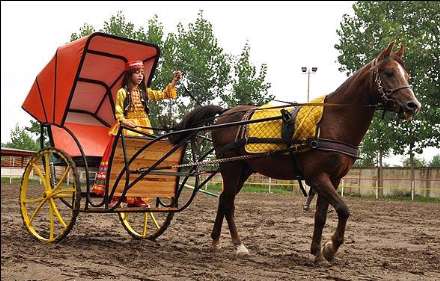 نهمین جشنواره ملی زیبایی اسب کاسپین