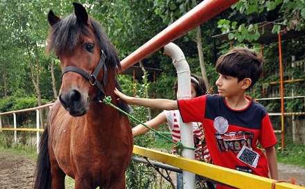 نهمین جشنواره ملی زیبایی اسب کاسپین