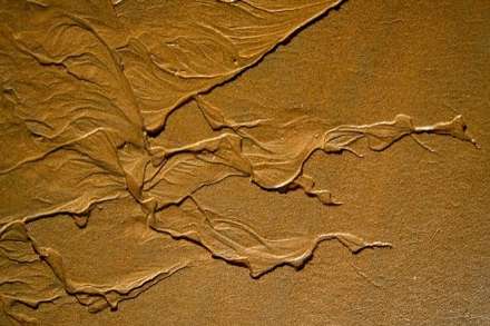 طرح های شگفت انگیز در ماسه های بیابان