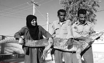 گزارش تصویری از حضور بانوان در فعالیت های محیط زیستی