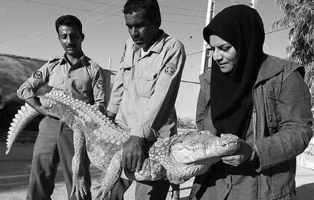 گزارش تصویری از حضور بانوان در فعالیت های محیط زیستی