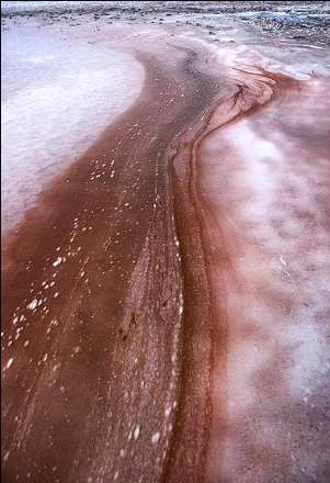 گزارش تصویری از خشکسالی دریاچه ارومیه