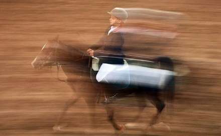 نهمین جشنواره ملی زیبایی اسب کاسپین
