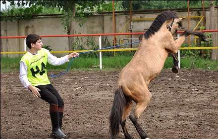نهمین جشنواره ملی زیبایی اسب کاسپین