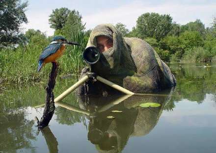 شکار لحظه ها