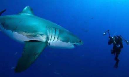 شکار لحظه ها