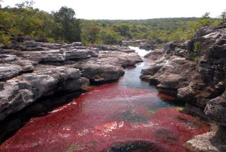 انو کریستالس؛ رودخانه شگفت انگیز 5 رنگ