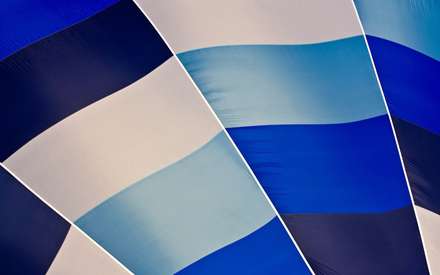 بالنی از نمای بسیار نزدیک