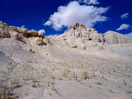 کویر خشکیده