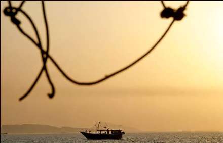 صید ماهی و میگو در جزیره قشم