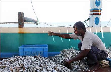 صید ماهی و میگو در جزیره قشم