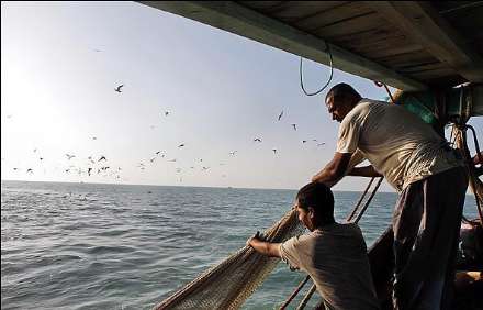 صید ماهی و میگو در جزیره قشم