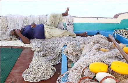 صید ماهی و میگو در جزیره قشم