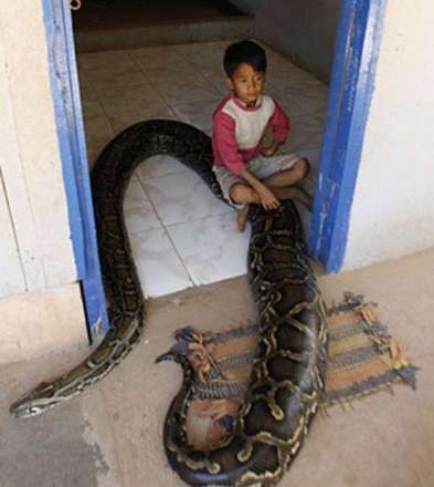 مار؛ همبازی عجیب پسربچه کامبوجی