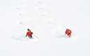 تصویر اسکیت بازی روی برف