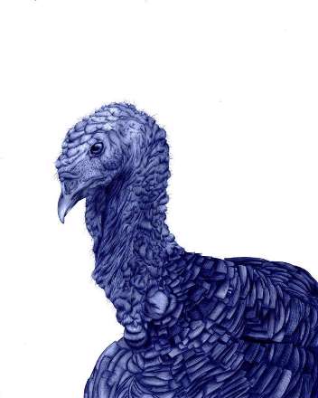 ترسیم نقاشی فقط با استفاده از خودکار