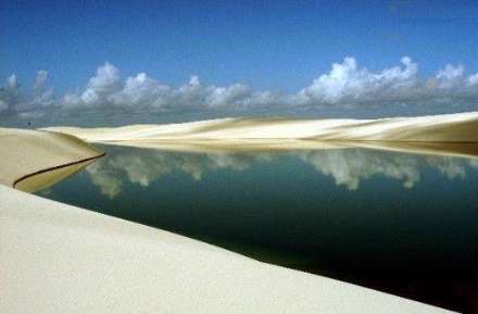 صحنه ای باورنکردنی؛ کویری پر از تالاب