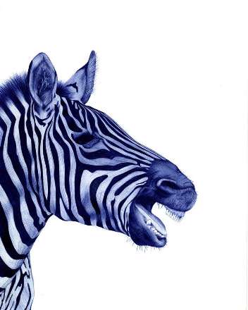 ترسیم نقاشی فقط با استفاده از خودکار