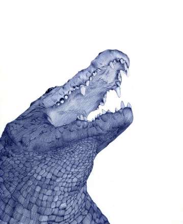 ترسیم نقاشی فقط با استفاده از خودکار