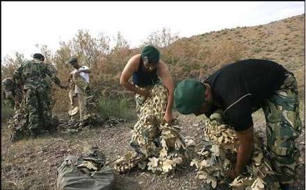 تمرینات نظامی نیروی ویژه هوابرد ارتش