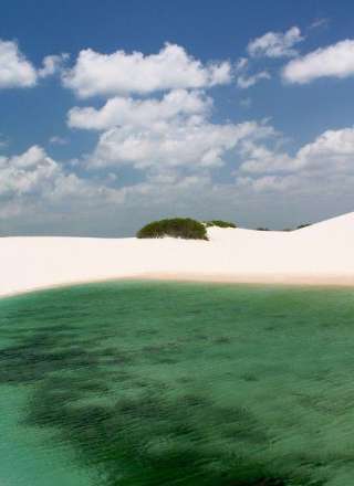 صحنه ای باورنکردنی؛ کویری پر از تالاب