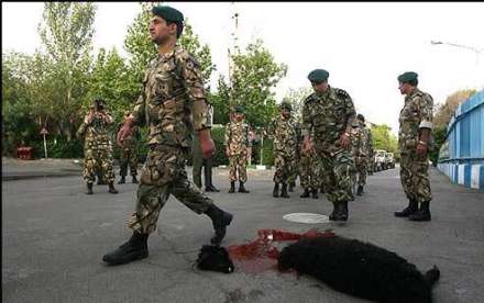 تمرینات نظامی نیروی ویژه هوابرد ارتش