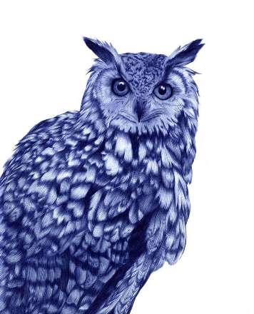 ترسیم نقاشی فقط با استفاده از خودکار