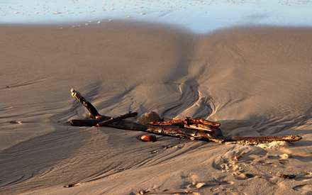 تصوير ساحل شني يك دريا در لهستان