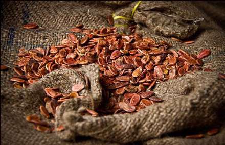 کارگاه آجیل پزی