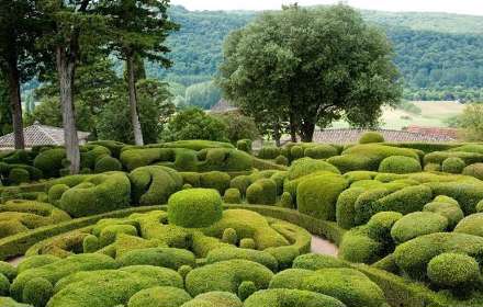 معرفی باغ marqueyssac  در فرانسه