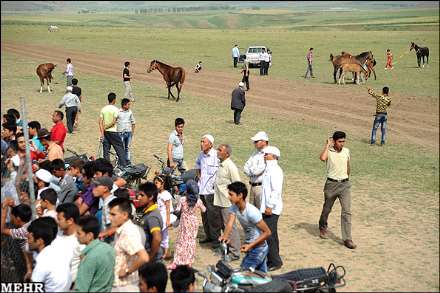 هفتمین جشنواره اسب اصیل ترکمن صوفیان