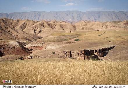 گزارش تصویری از برداشت گندم در شهرستان آبدانان