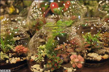 دهمین نمایشگاه بین المللی گل و گیاه تهران