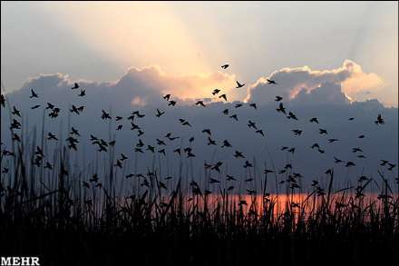 گزارش تصویری از طبیعت قم