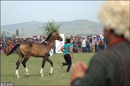 هفتمین جشنواره اسب اصیل ترکمن صوفیان