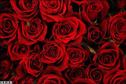 دهمین نمایشگاه بین المللی گل و گیاه تهران