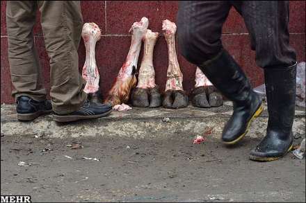 گزارش تصویری از بازار هفتگی جویبار استان مازندران