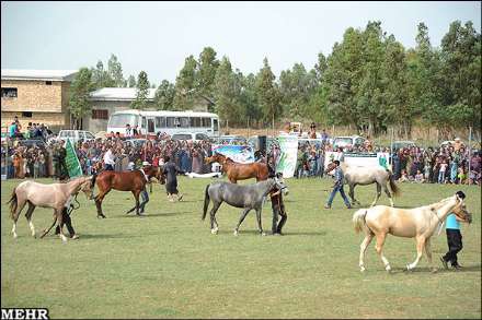 هفتمین جشنواره اسب اصیل ترکمن صوفیان