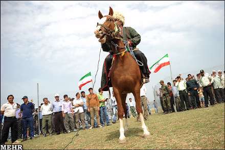 هفتمین جشنواره اسب اصیل ترکمن صوفیان