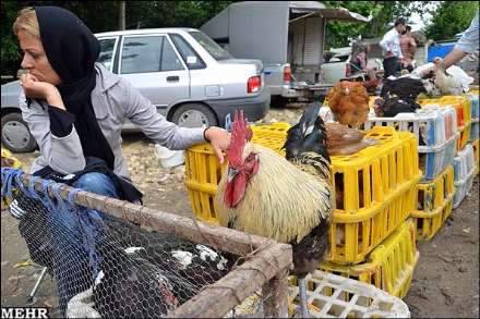 گزارش تصویری از بازار هفتگی جویبار استان مازندران
