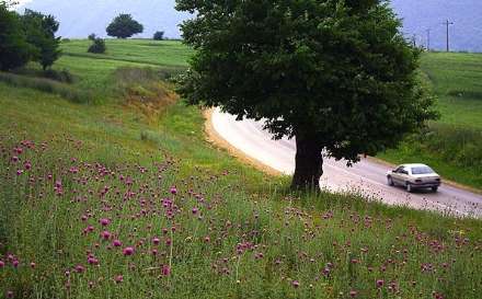 طبیعت زیبای مازندران